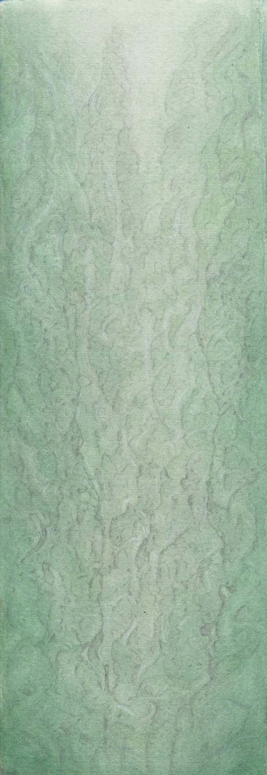 archetexturalateralus