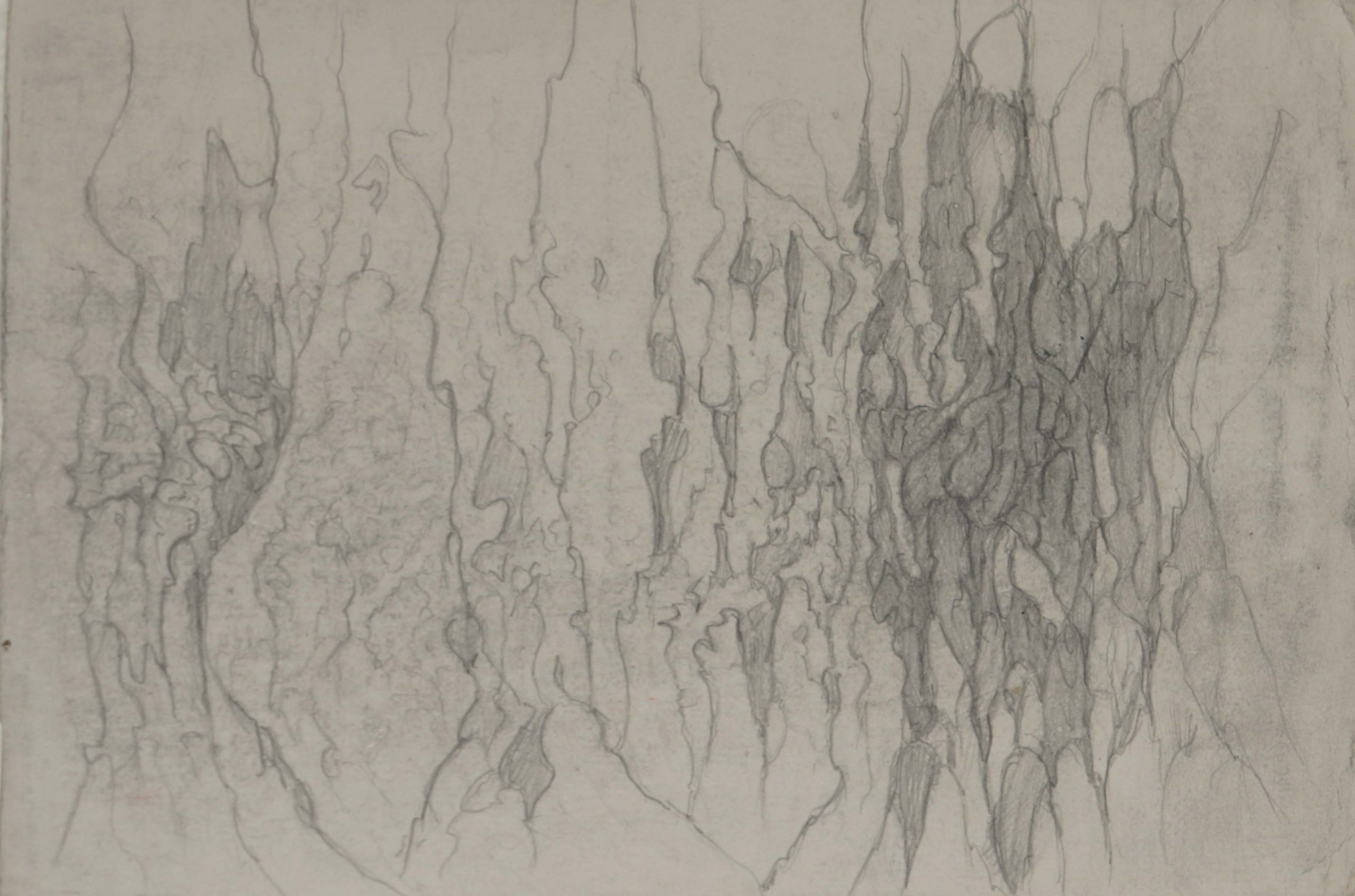 sketchbook