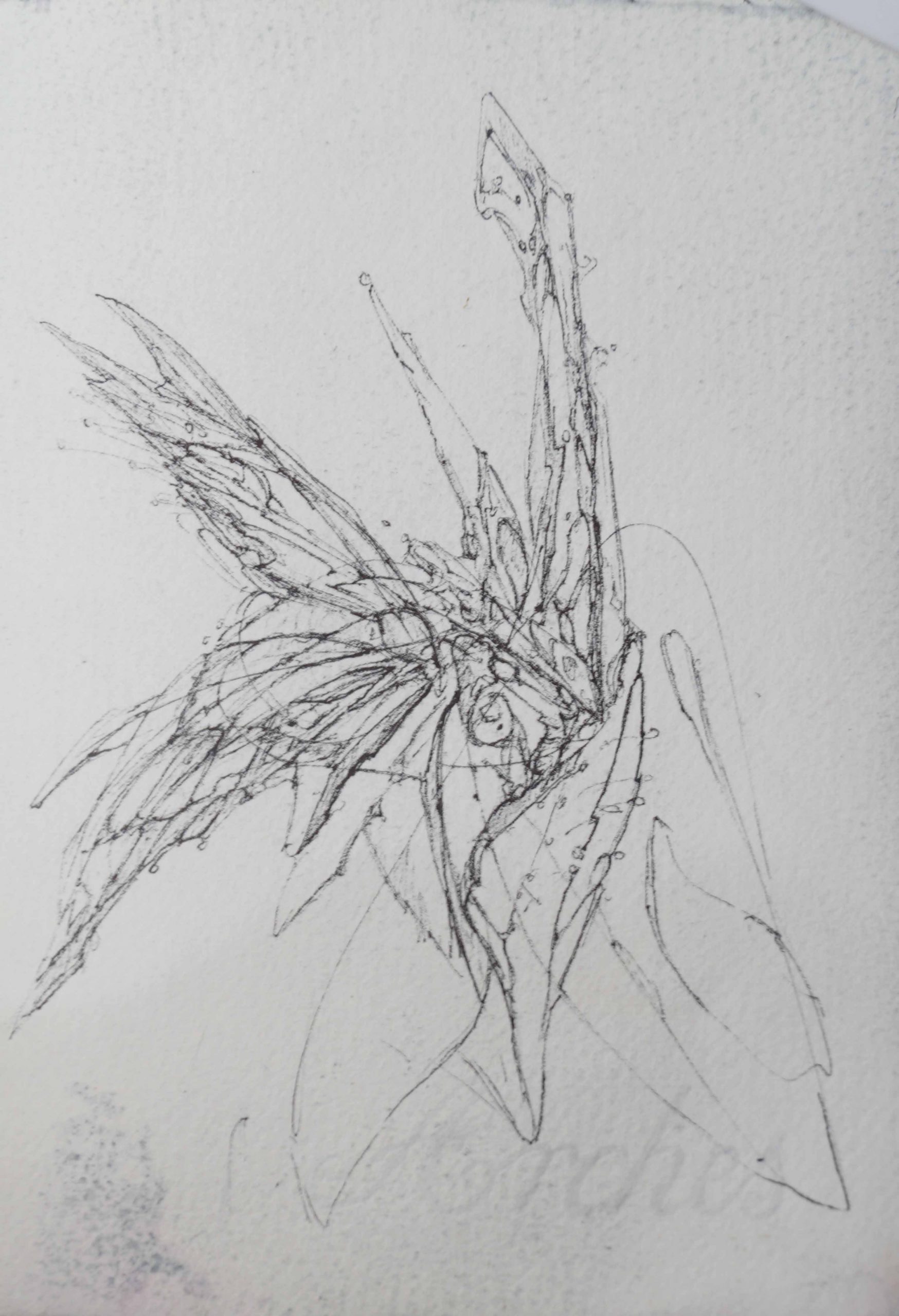 the release