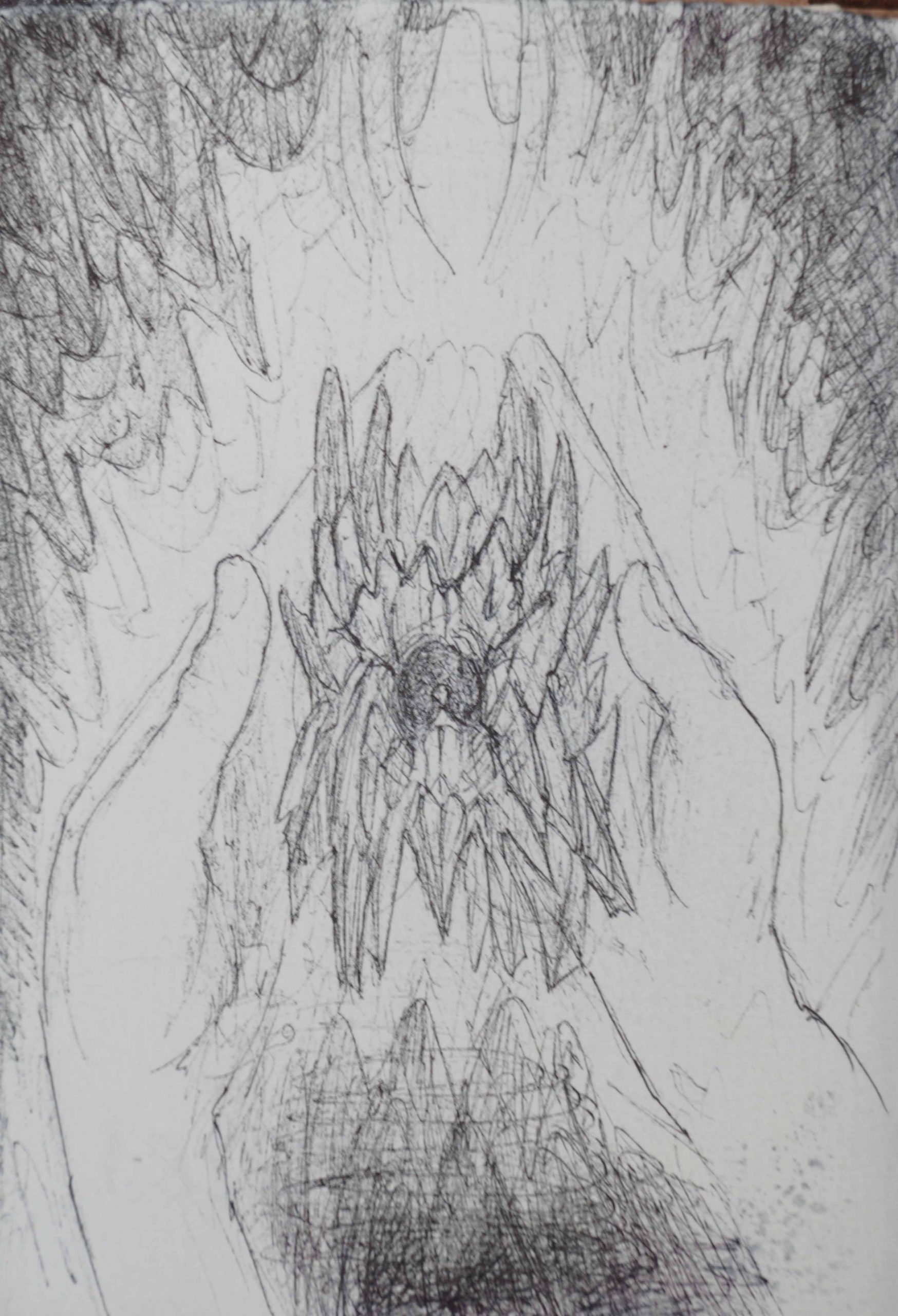 the embrace