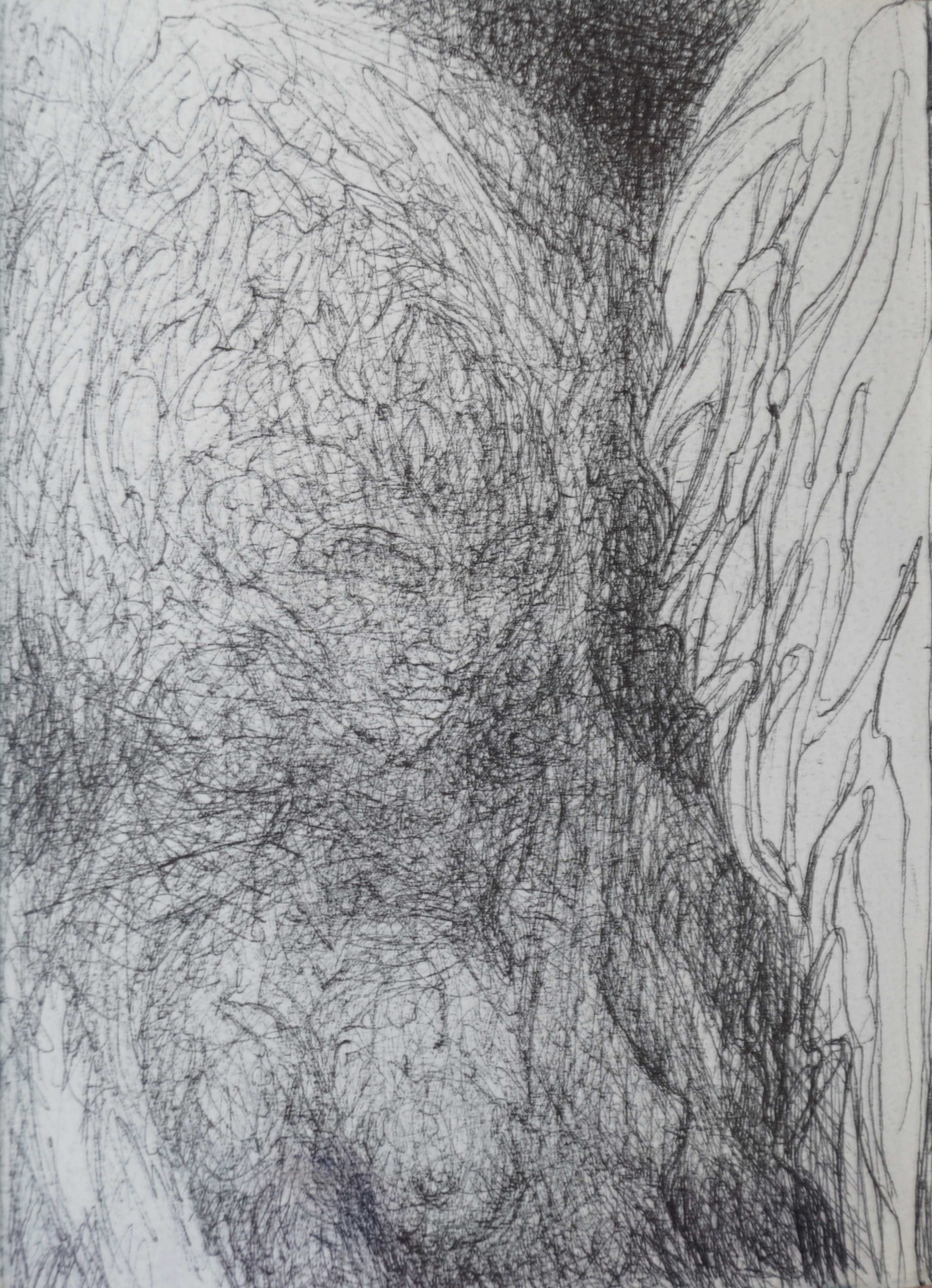 the encounter