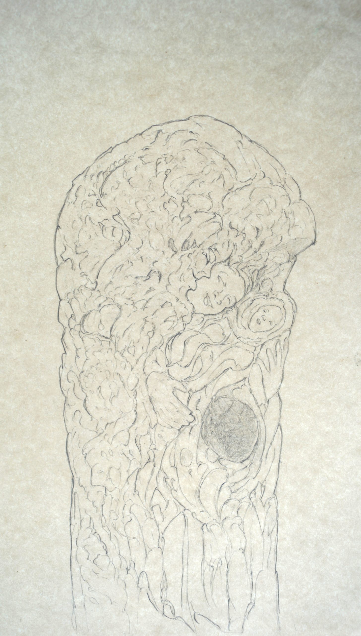 the Central Pillar of Community