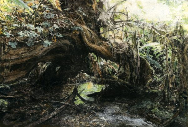 Salamanderstream