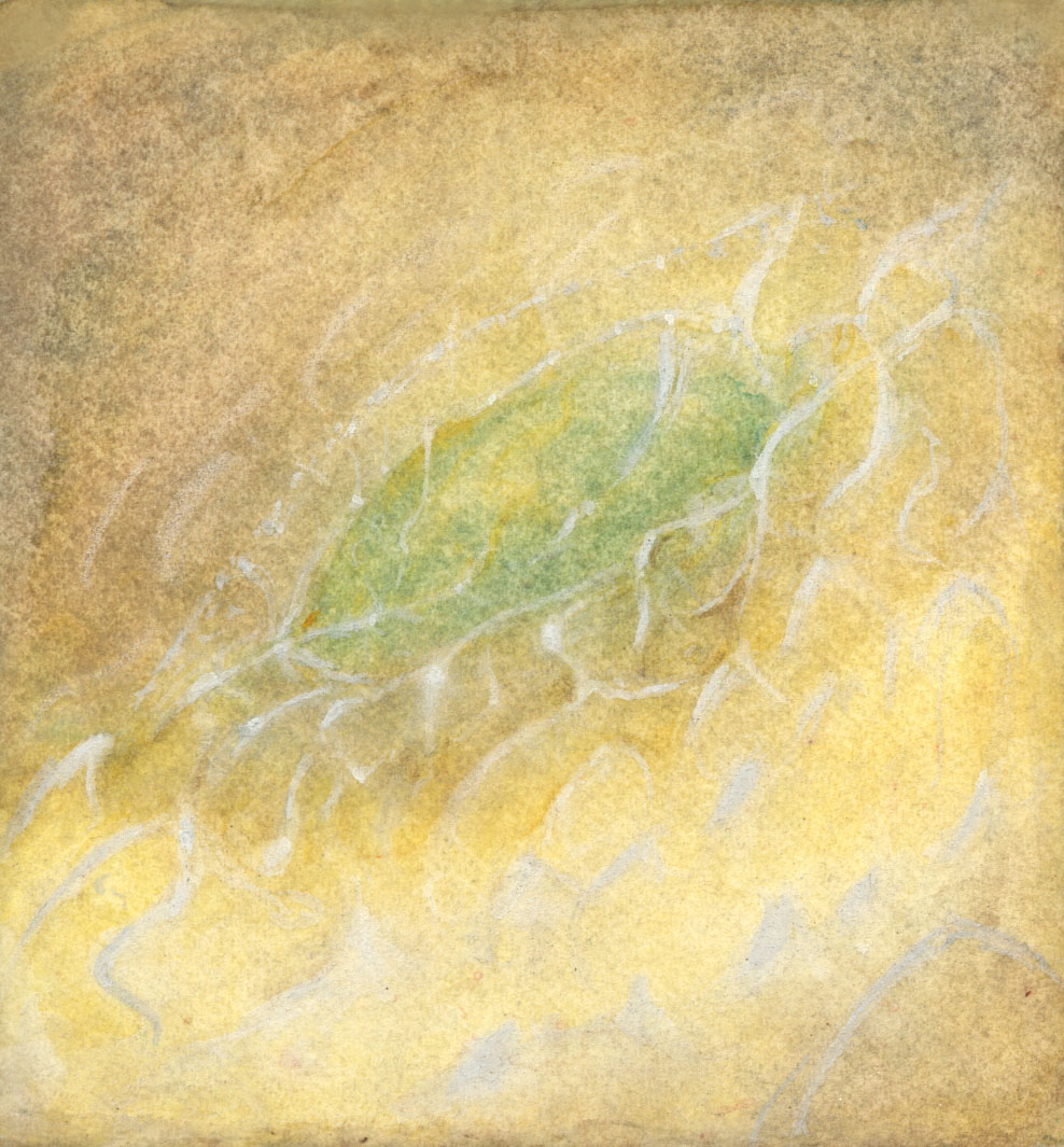 archetexturalateralus
