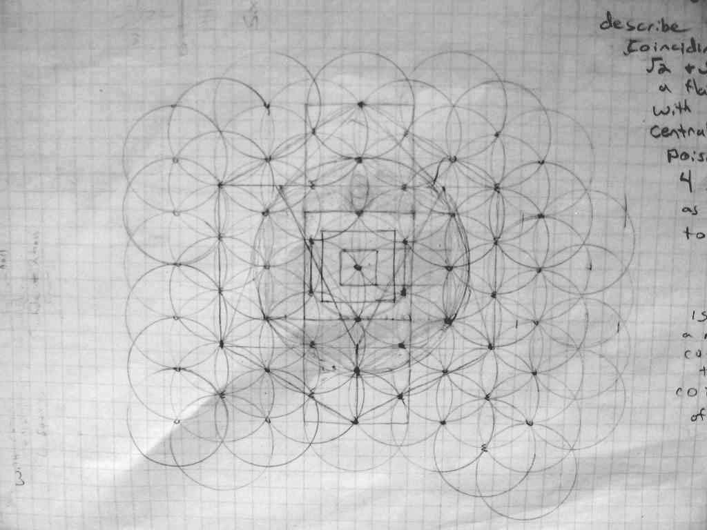 squares and circles study