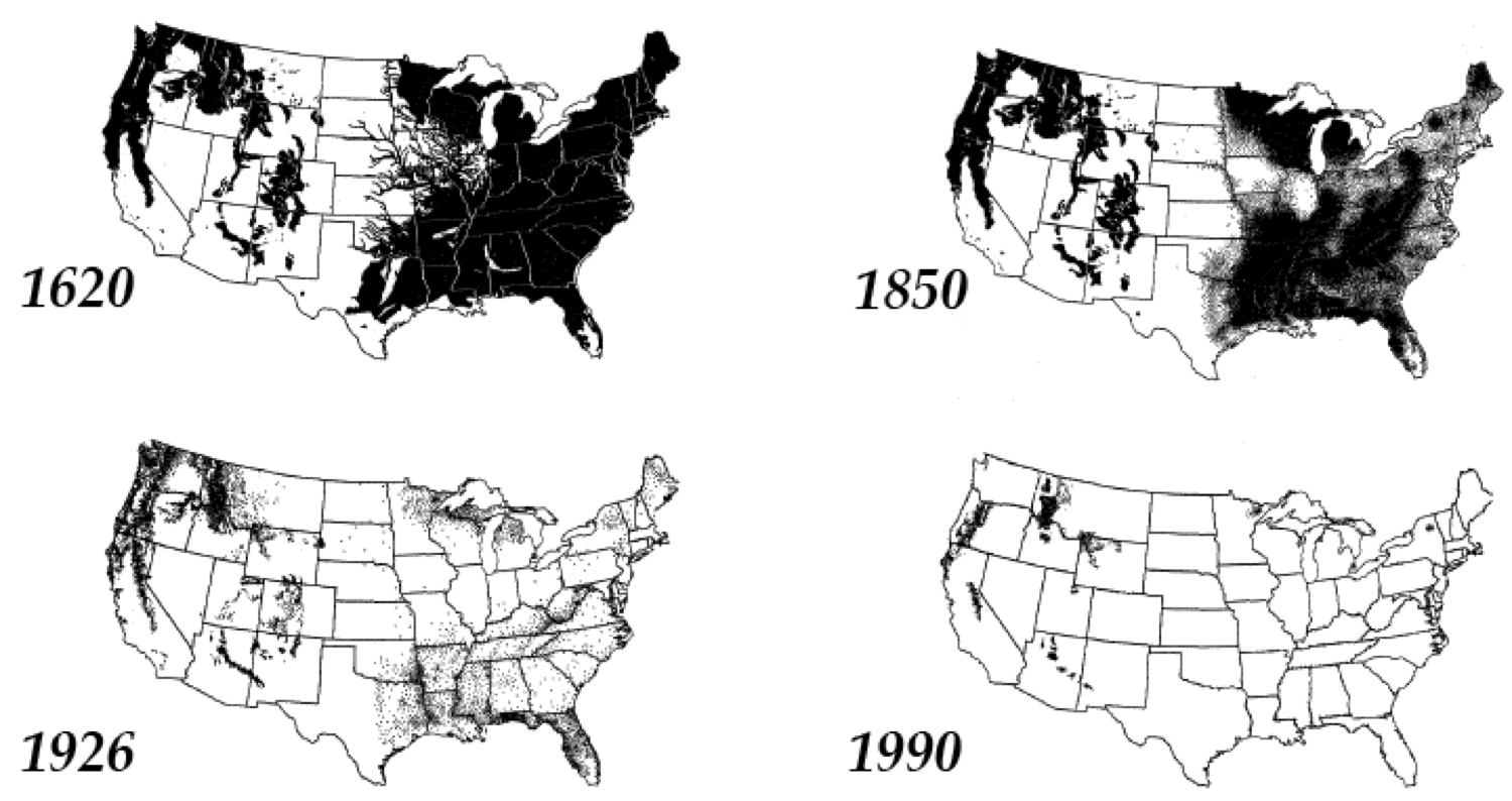 Old-Growth-Forests-in-US