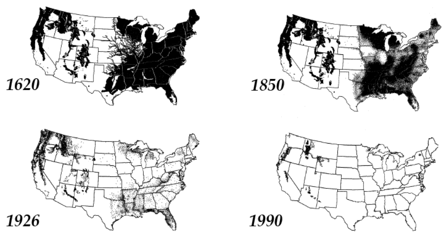 Old-Growth-Forests-in-US Old-Growth-Forests-in-US