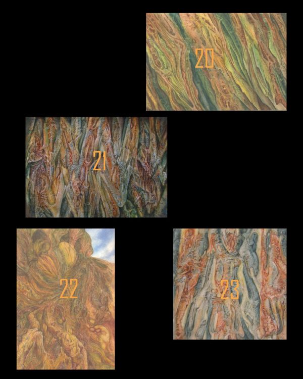 Promotional Prints For Evergreen - Folder of Three - Image 6