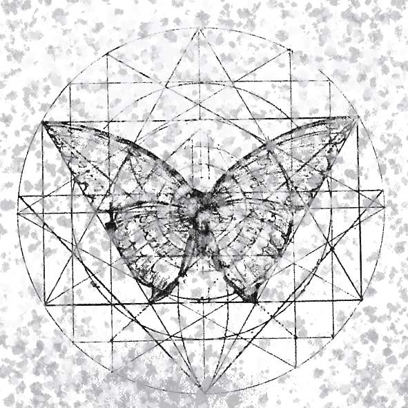 ZZ-butterfly geometry