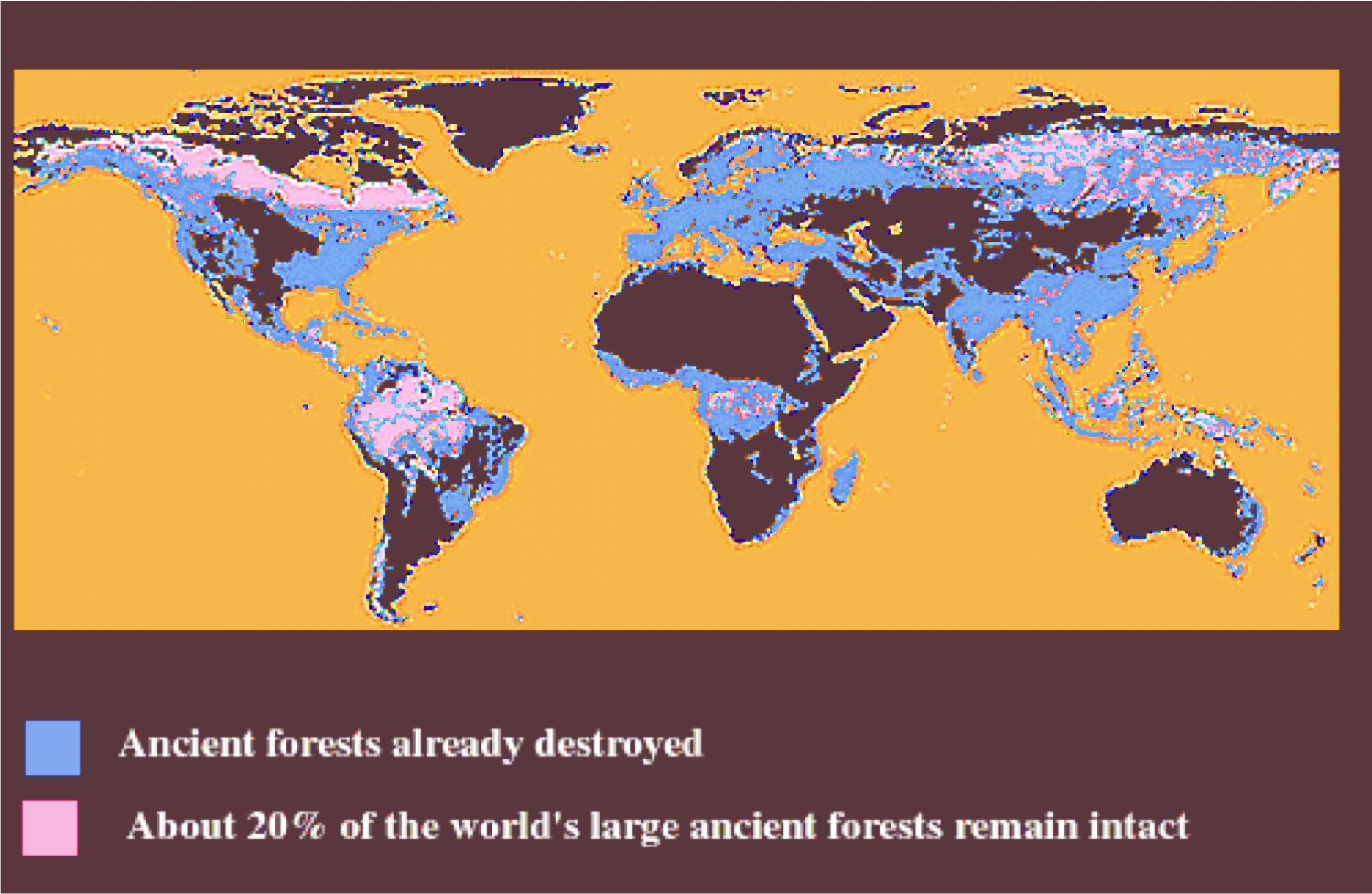 ancient-forests-destroyed