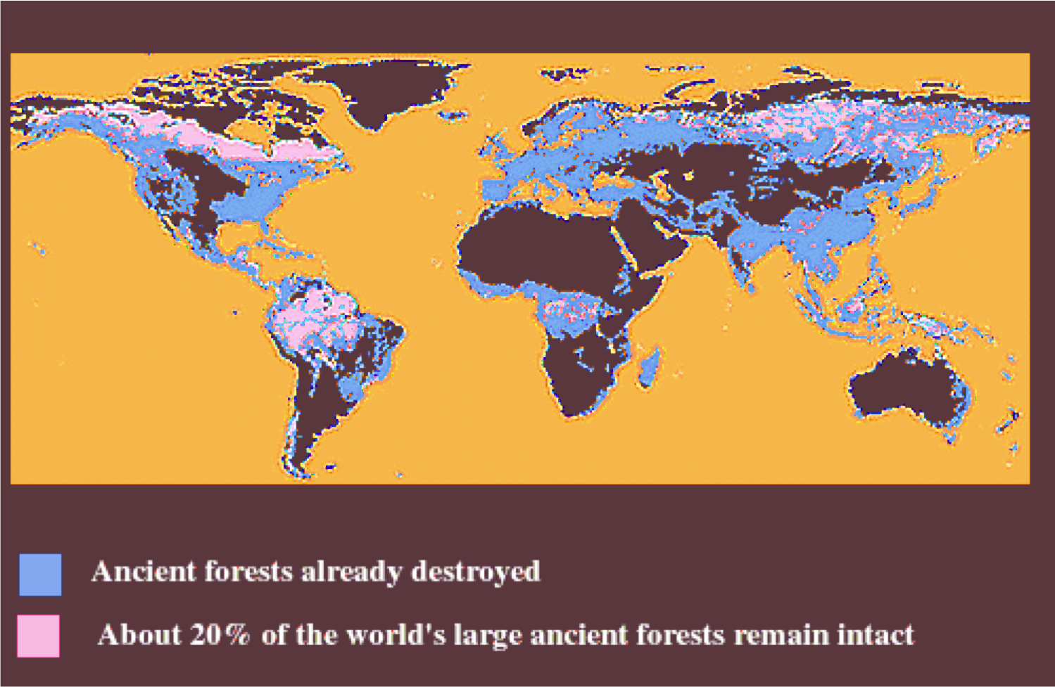 ancient-forests-destroyed ancient-forests-destroyed