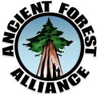 ancientforestalliancelogo