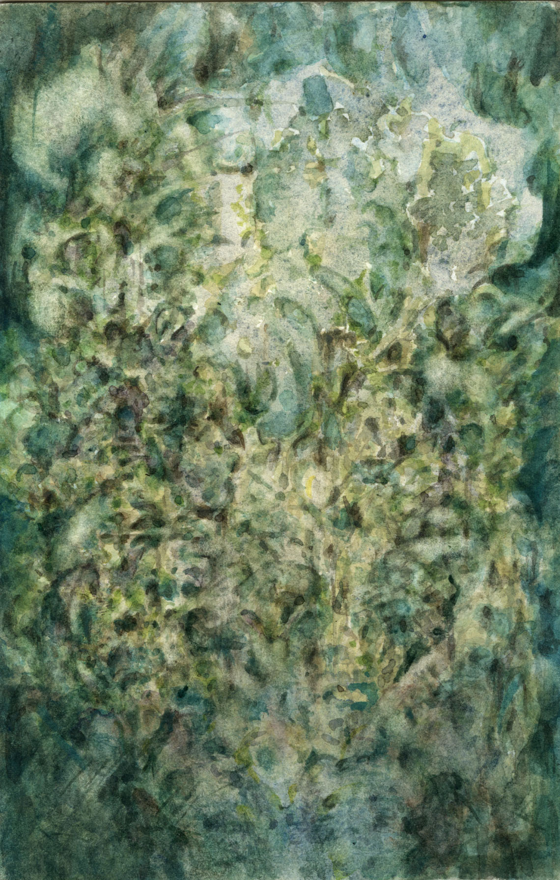 forest primeval