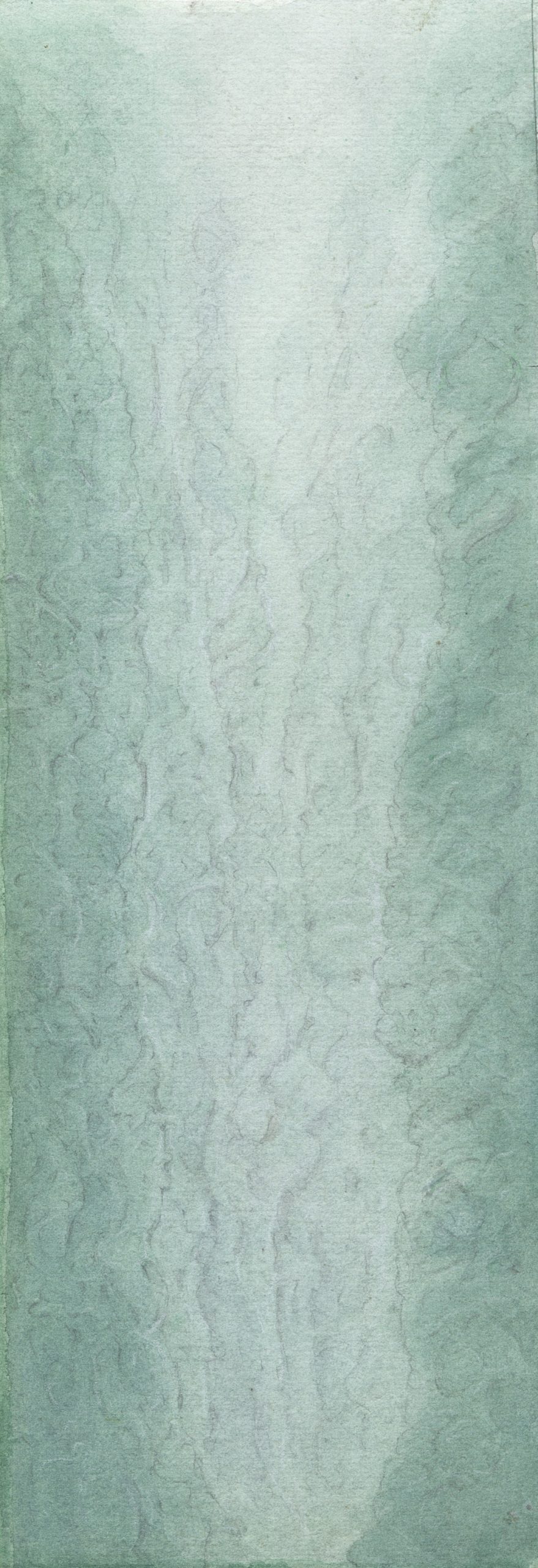 Archytexturastralateralus