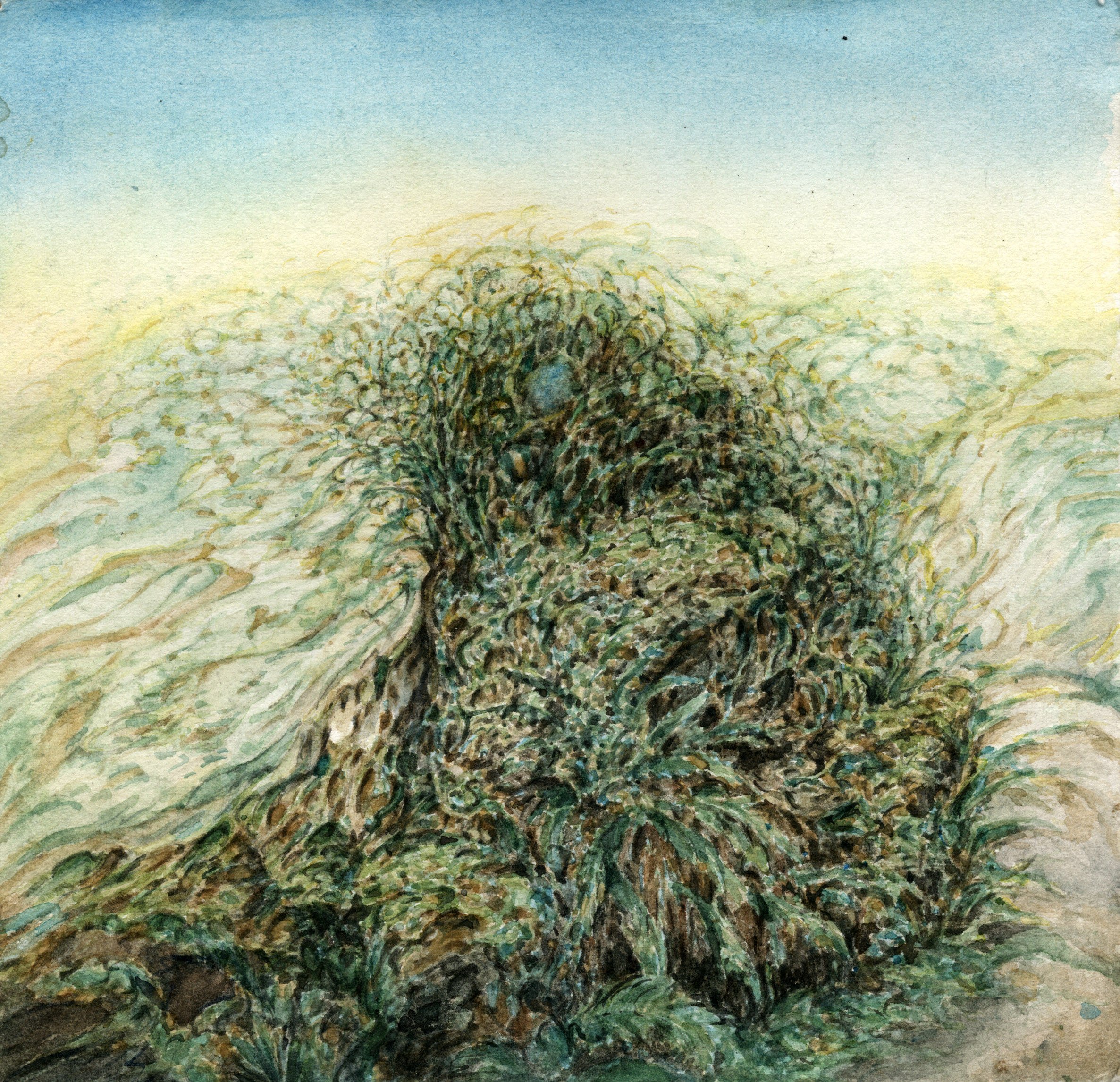 forest primeval