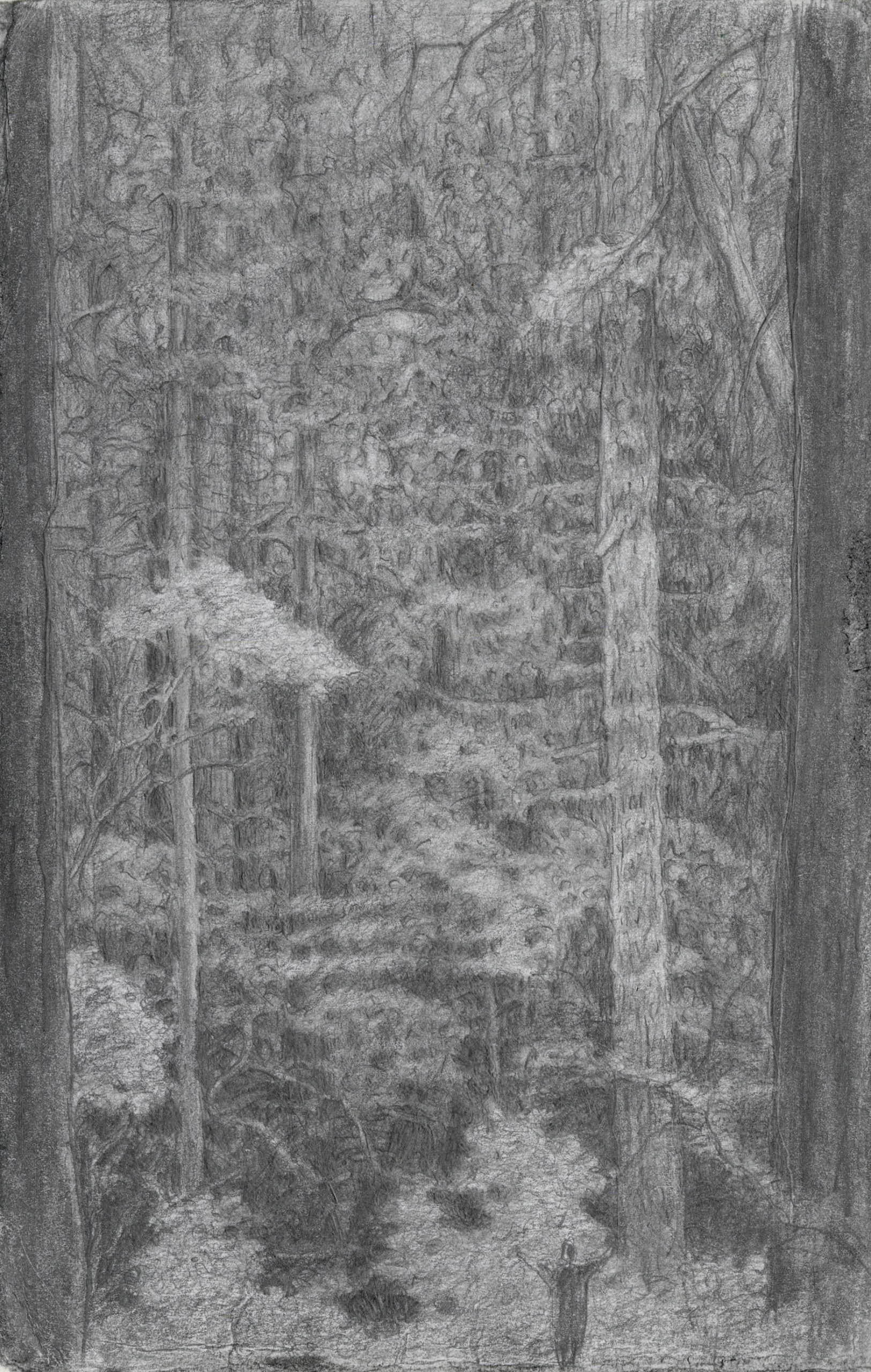 forest primeval