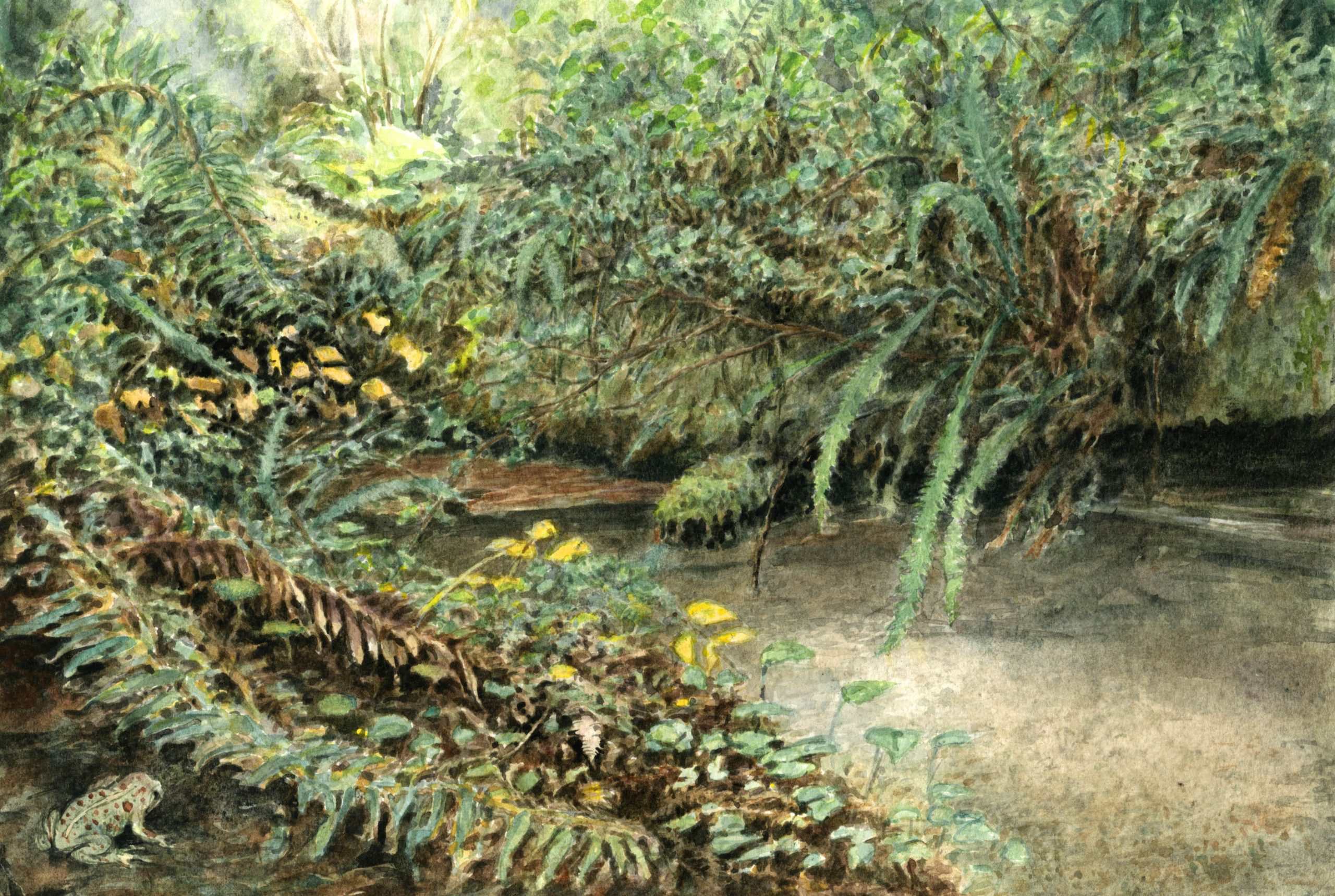 landscapes