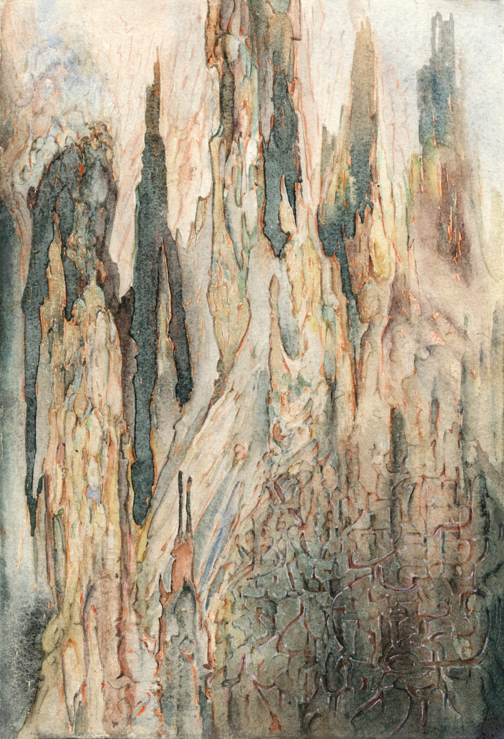 Forest primeval