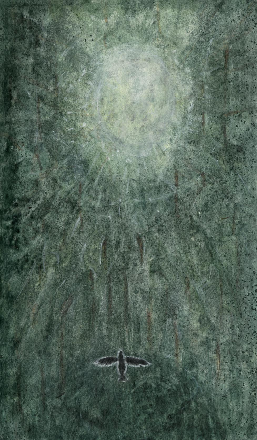 forest primeval