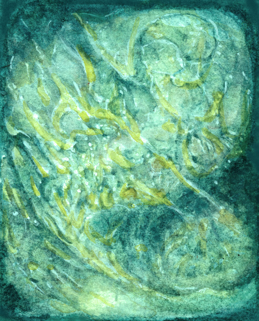 Archytexturastralateralus