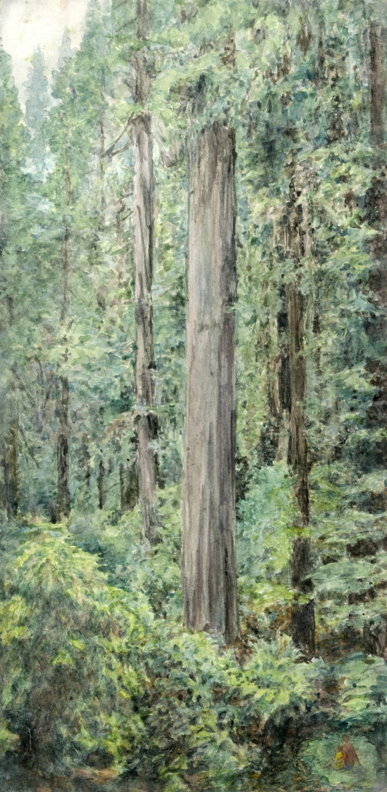 organic cathedral forest primeval