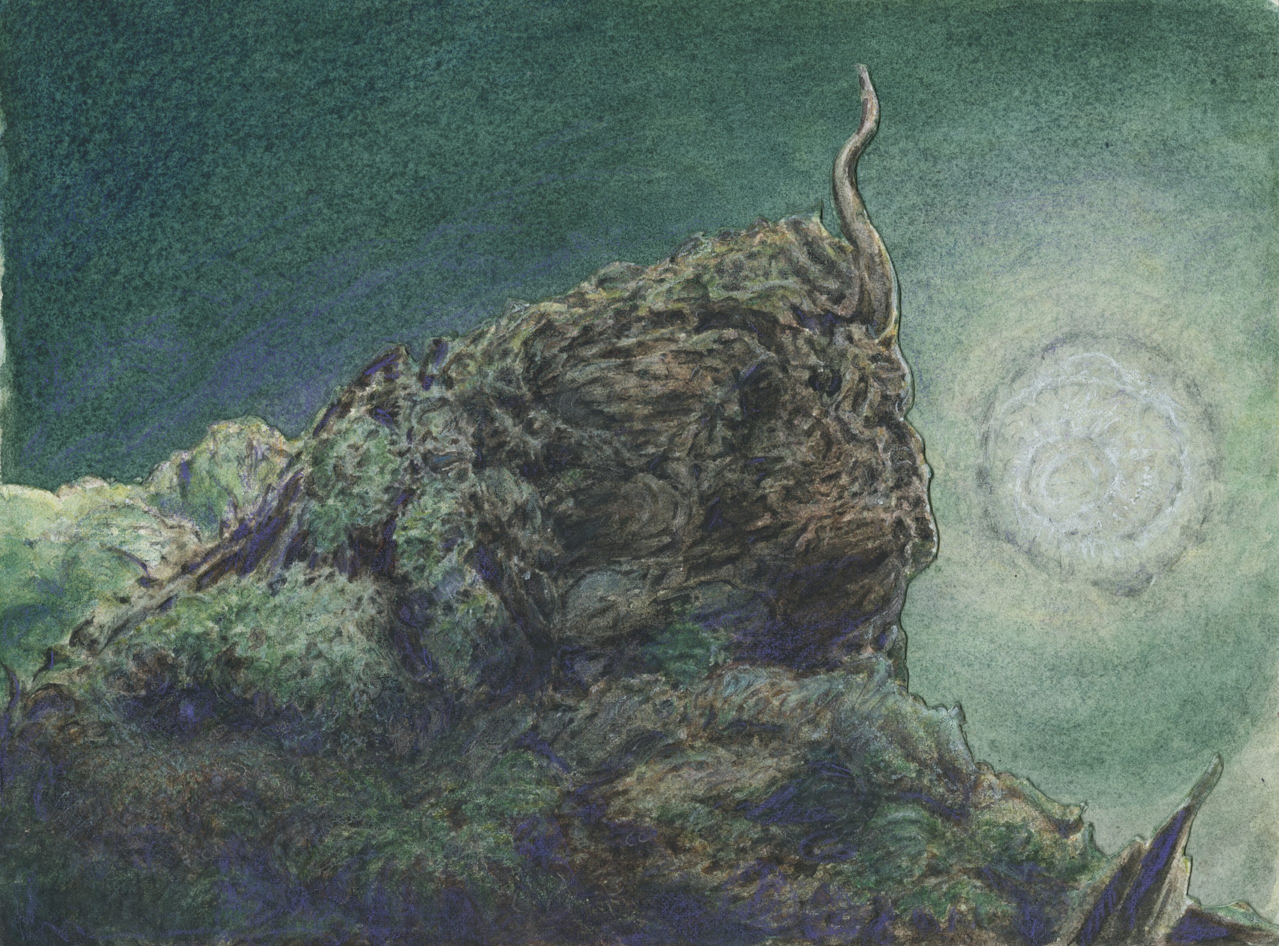 forest primeval