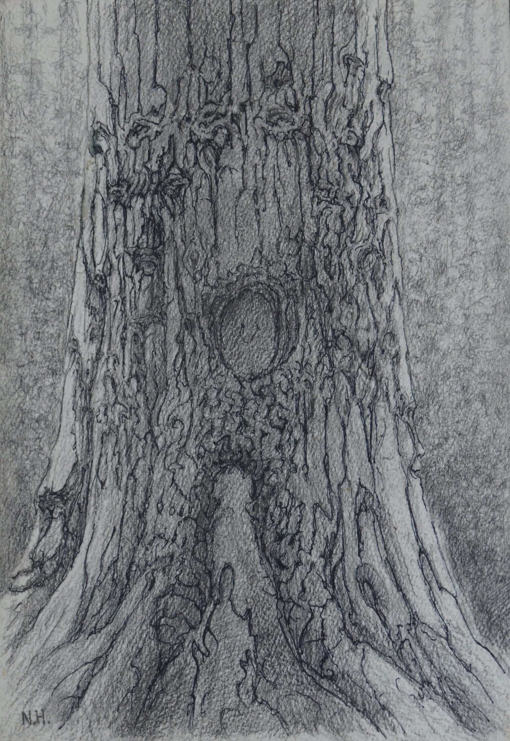 forest primeval