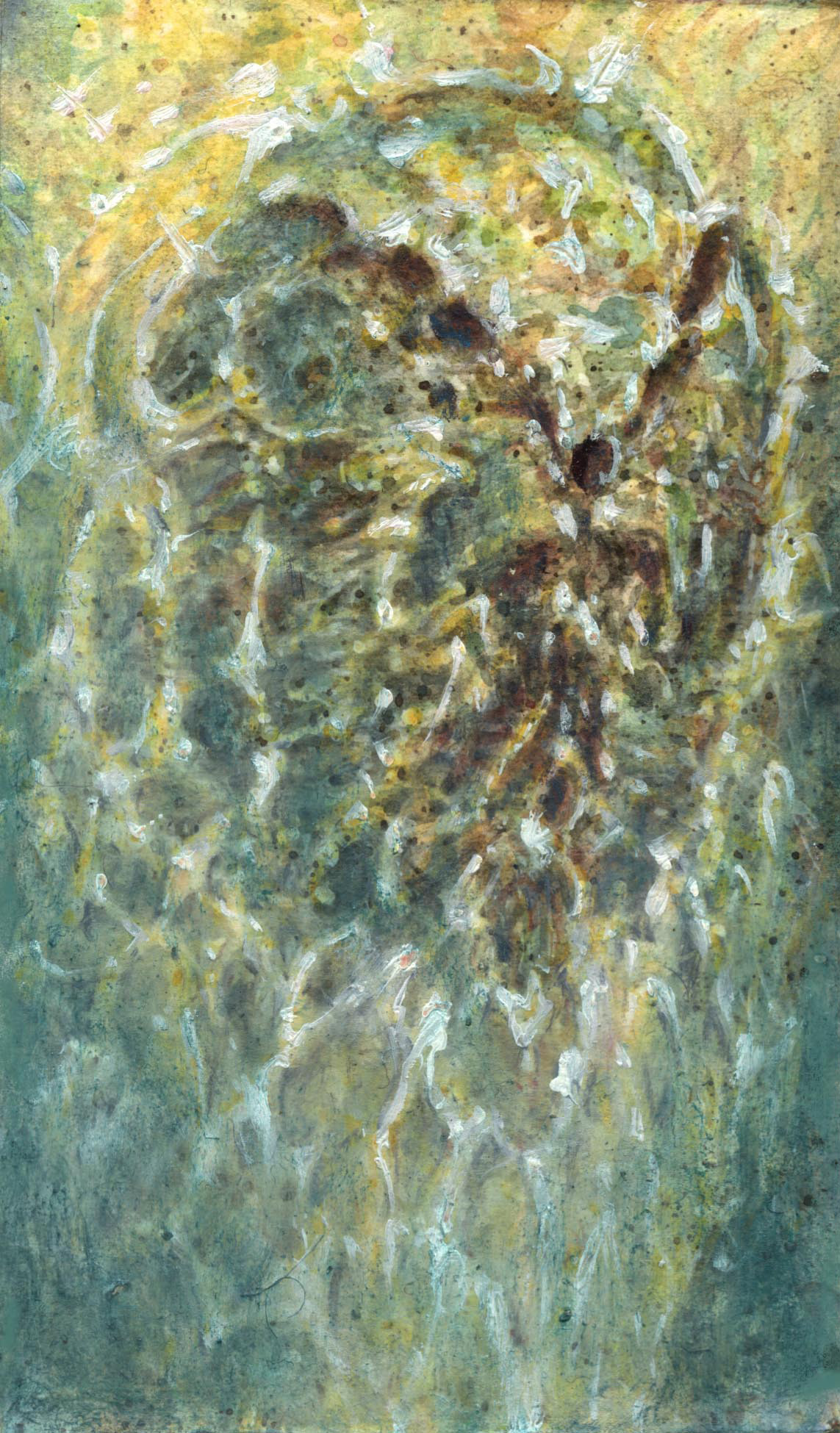 forest primeval