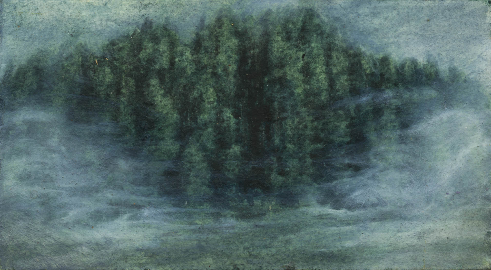 The Fog forest primeval