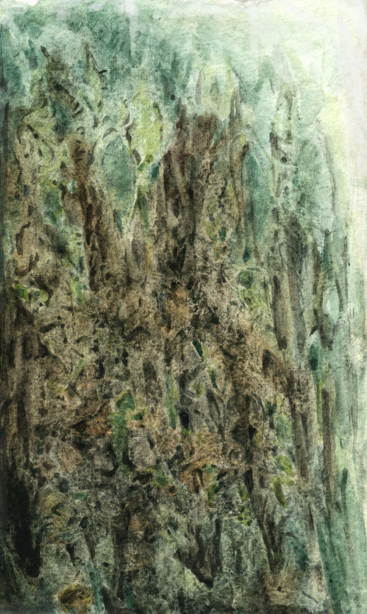 archytextastralateralus