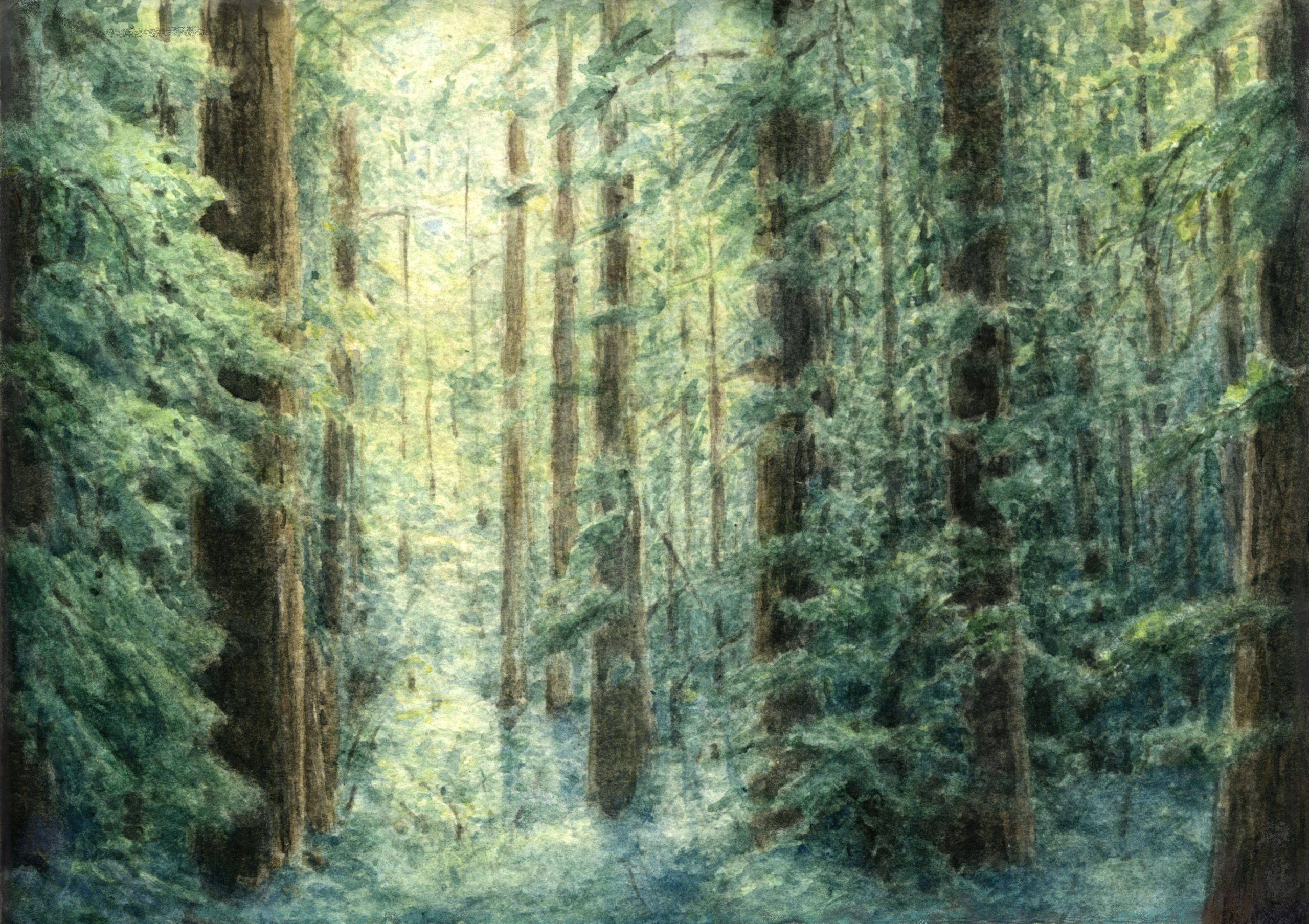 Turner In the Woods forest primeval